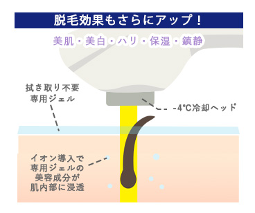 肌トラブルのない美肌へ